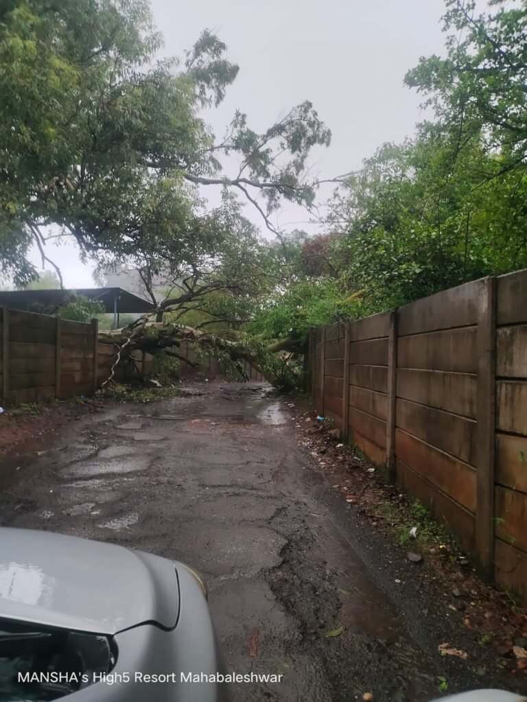 Panchagani Breaking